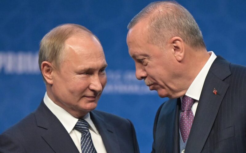 Erdogan zai gana da Putin kan samar da hatsi a duniya