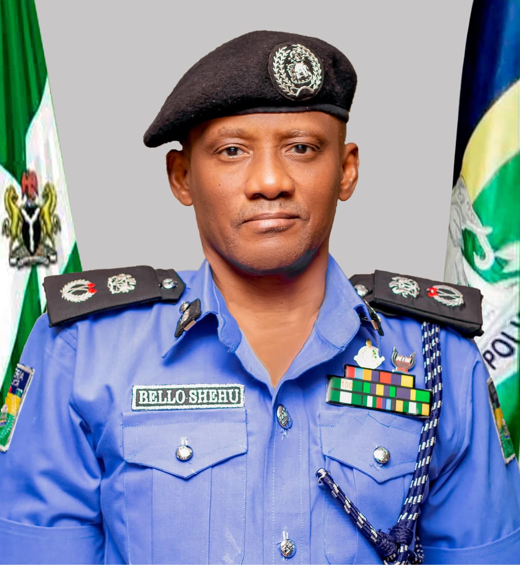 'Yan sanda a Katsina sun kama 'yan ta'adda da suka yi garkuwa da ...