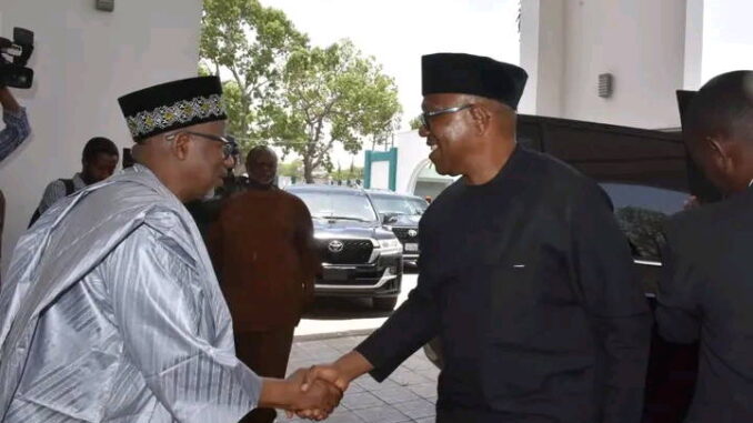 ADC: Peter Obi ya yi ganawar sirri da Gwamna Bala a Bauchi - Manhaja ...